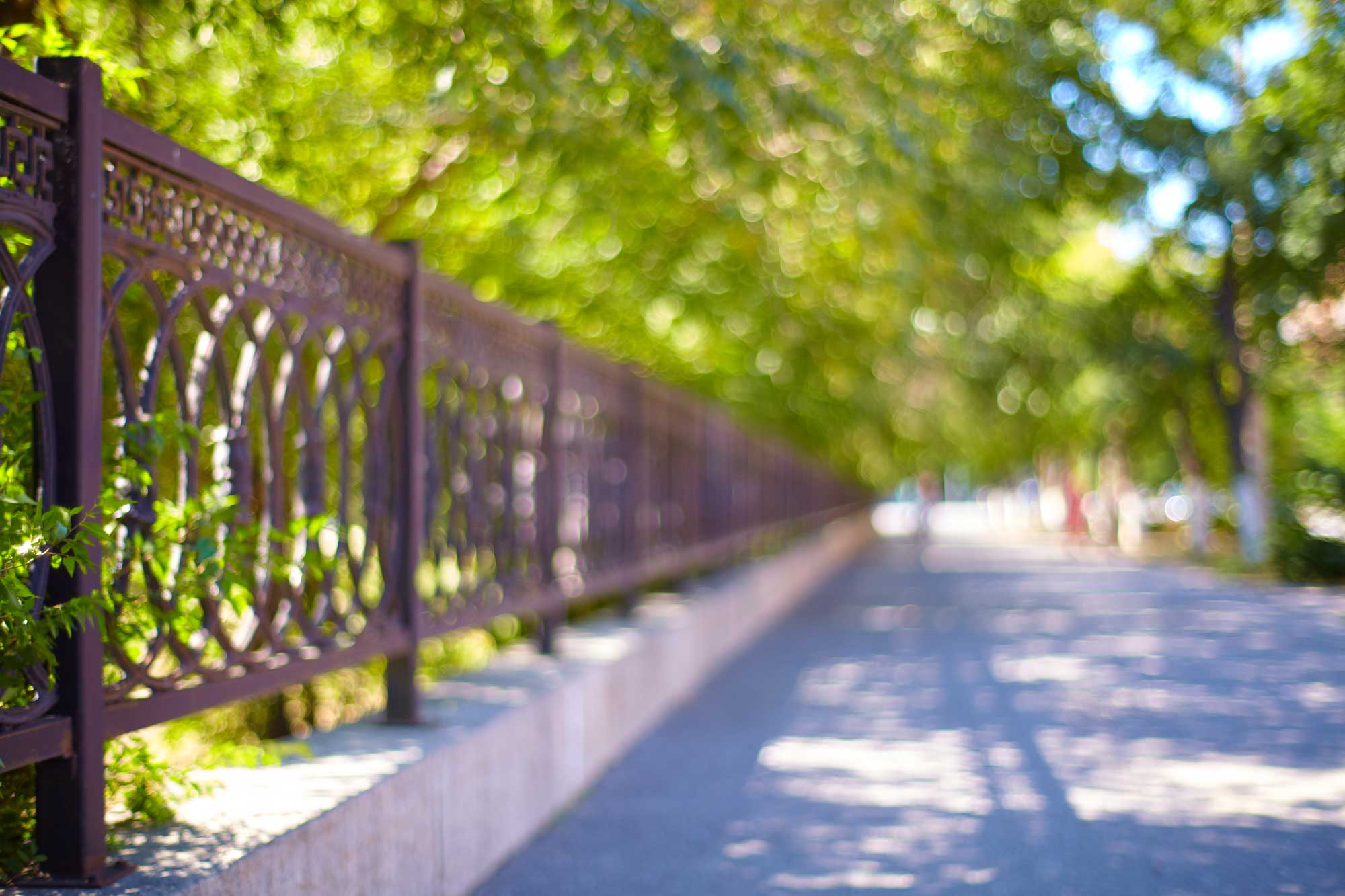 Fence By Sidewalk