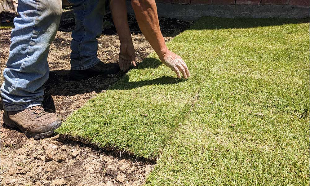 Grass Installation